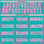 Custom Uniform Aqua Sublimation Curve Lines Jersey Pink-White Soccer Sports