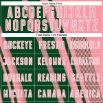 Custom Jersey Sports Green-White Pink Medium Uniform Soccer Sublimation Lines Custom Jersey Sports Green-White Pink Medium Uniform Soccer Sublimation Lines