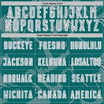 Curve Sports Sublimation Teal Jersey Gray-White Lines Soccer Custom Uniform