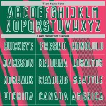 Sports Custom Kelly Pink Green-White Lines Neon Sublimation Jersey Soccer Uniform Sports Custom Kelly Pink Green-White Lines Neon Sublimation Jersey Soccer Uniform